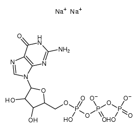 Guanosine Triphosphate Disodium Salt