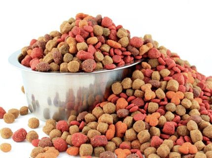 what is dog food testing