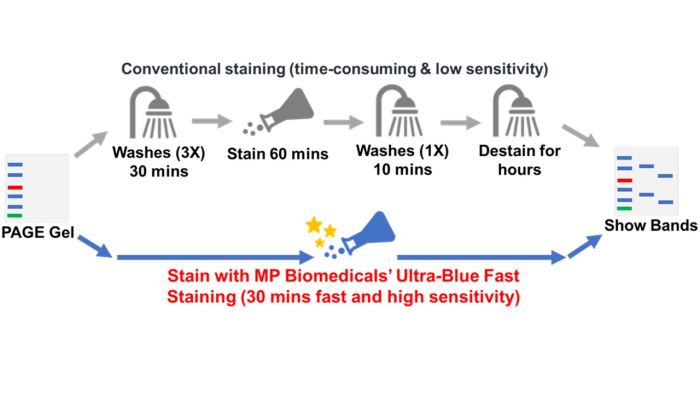 MP Biomedicals™ Solution saline équilibrée 1X Hanks (modifiée) sans  magnésium ni calcium Solution saline équilibrée 1X Hanks (modifiée) sans Mg  ni Ca, 500 ml Solution saline dans un tampon phosphate