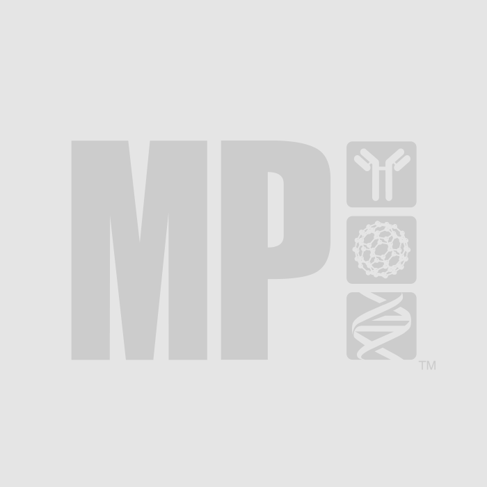 MP Biomedicals™ Accessoires FastPrep - Bouchons